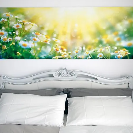 B&B Beauty House Cesena Buitenkant foto