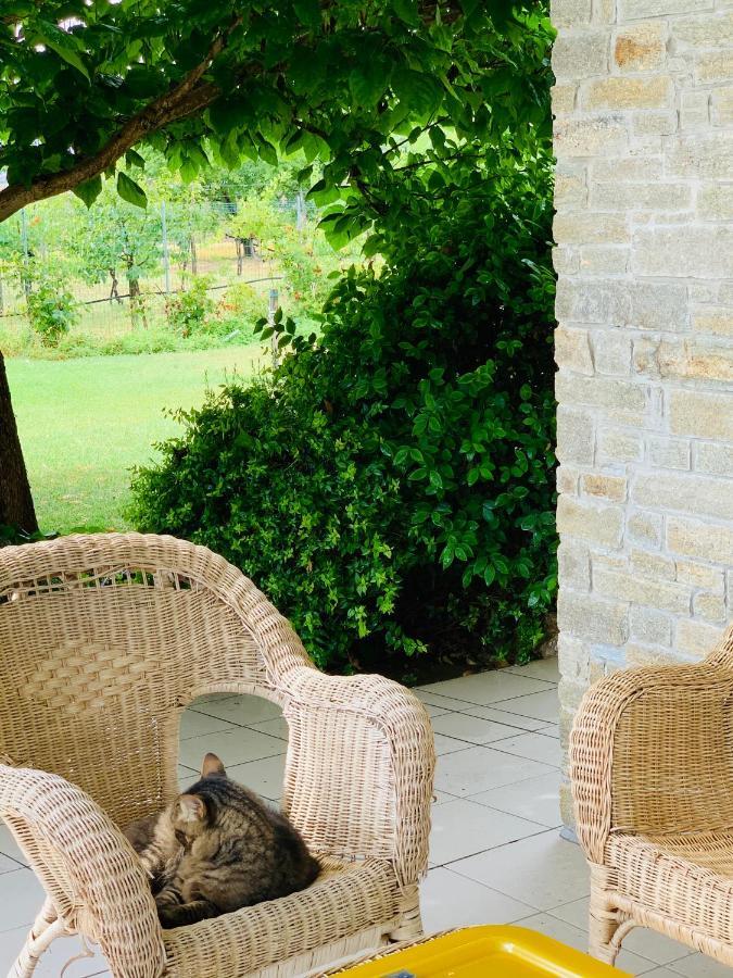 Bed & Breakfast Beauty House Cesena